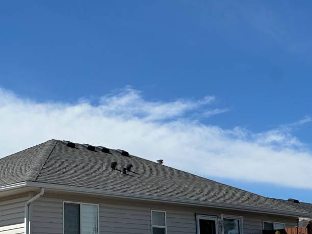 Best Sheet Metal Roofing  in Harveys Lake, PA